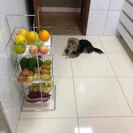 Encantador , Moderno E Confortável !!!-2