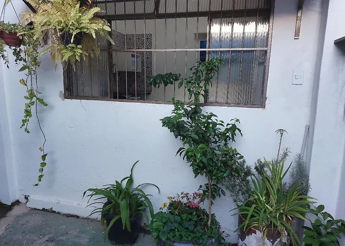 Pet friendly Confortaveis E Praticas Kitnets Em Belo Horizonte